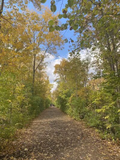 Yates Park - Rochester Hills, MI