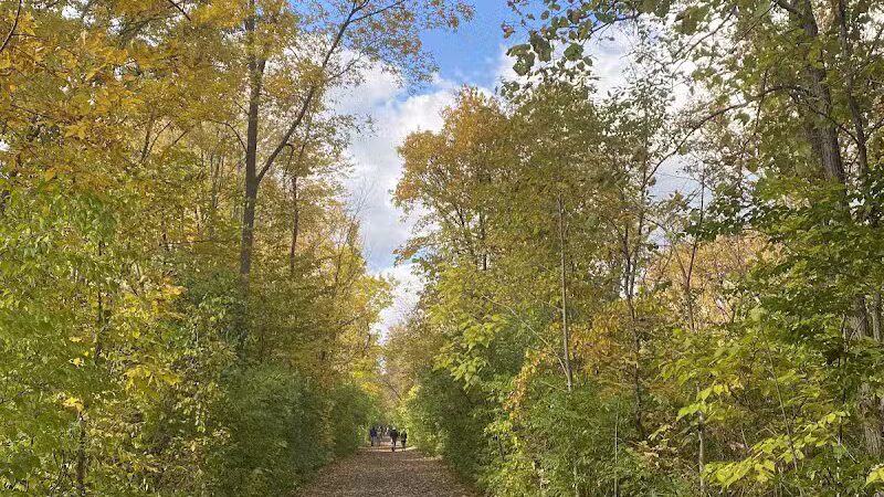 Yates Park - Rochester Hills, MI