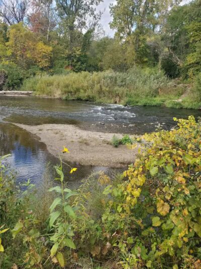 Yates Park - Rochester Hills, MI