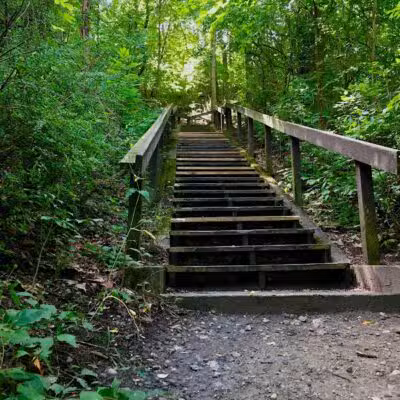 Letica Drive Trailhead - Rochester,