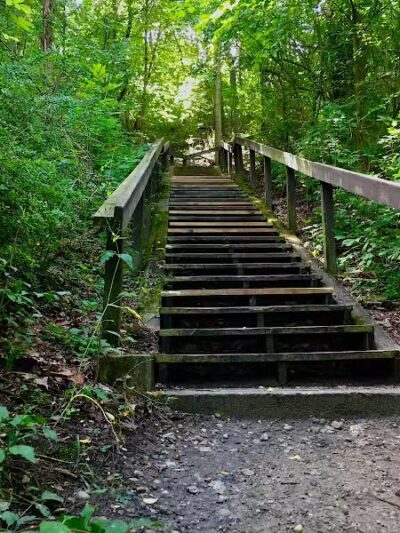 Letica Drive Trailhead - Rochester,