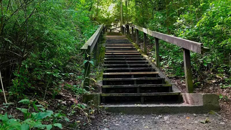 Letica Drive Trailhead - Rochester,