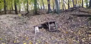 Letica Drive Trailhead - Rochester,