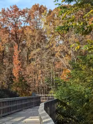 Paint Creek Trailways Commission - Rochester,