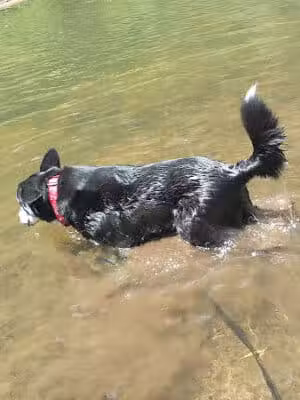 Rochester Municipal Park - Rochester,