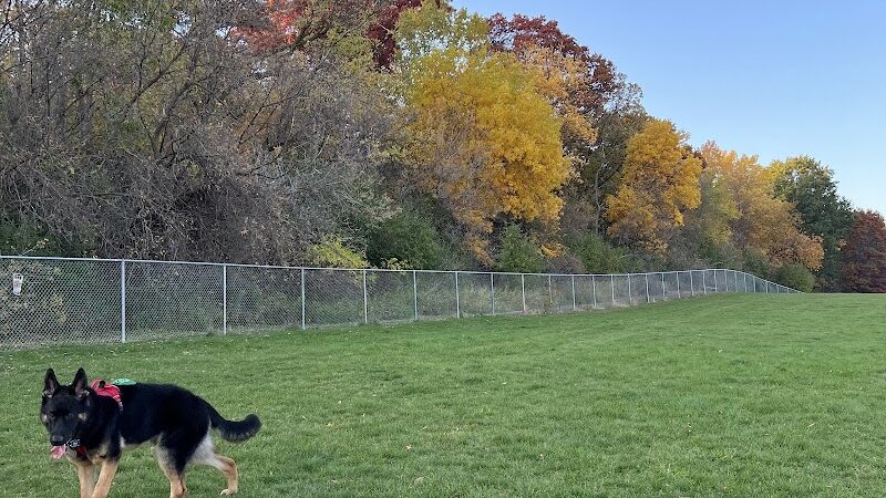 River Road Dog Park - Rochester, MN