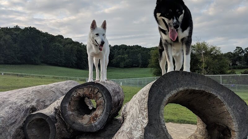 River Road Dog Park - Rochester, MN