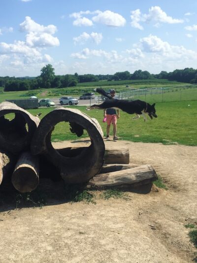 River Road Dog Park - Rochester, MN