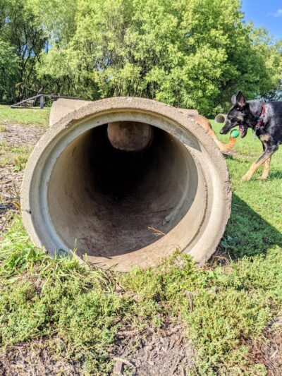 River Road Dog Park - Rochester, MN