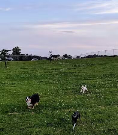 River Road Dog Park - Rochester, MN