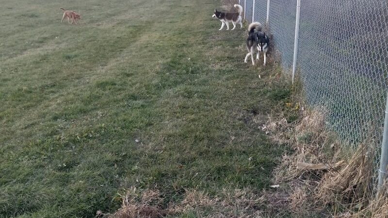 Rochester Dog Park - North - Rochester, MN