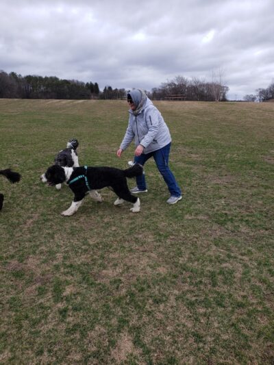 Rochester Dog Park - North - Rochester, MN
