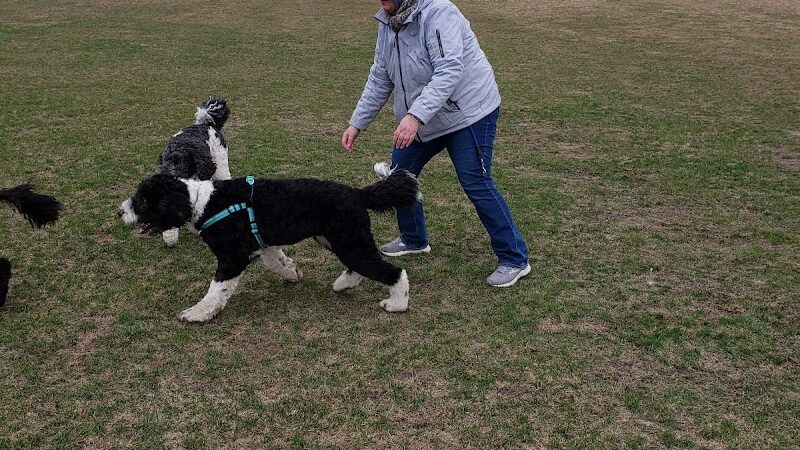 Rochester Dog Park - North - Rochester, MN