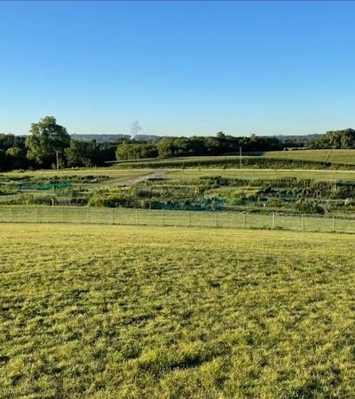 Rochester Dog Park - North - Rochester, MN
