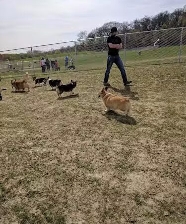 Rochester Dog Park - North - Rochester, MN