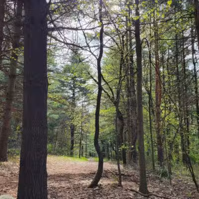 Mountain Bike Staging Area - Stony Creek - Rochester,