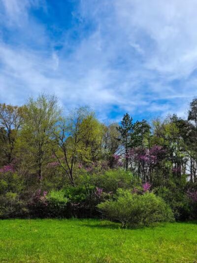 Mountain Bike Staging Area - Stony Creek - Rochester,