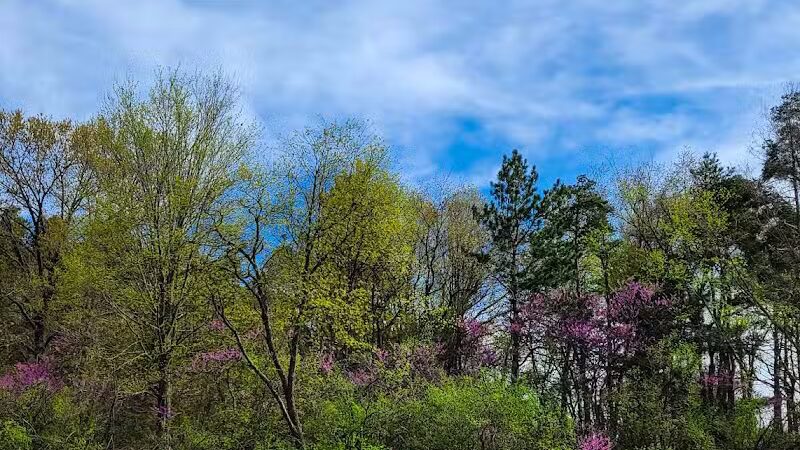 Mountain Bike Staging Area - Stony Creek - Rochester,