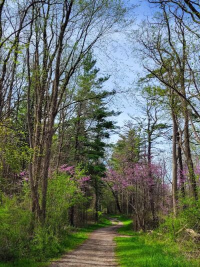 Mountain Bike Staging Area - Stony Creek - Rochester,