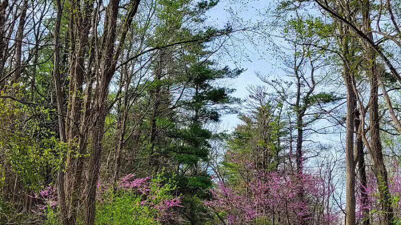 Mountain Bike Staging Area - Stony Creek - Rochester,