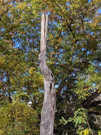 Paint Creek Trailways Commission - Rochester,