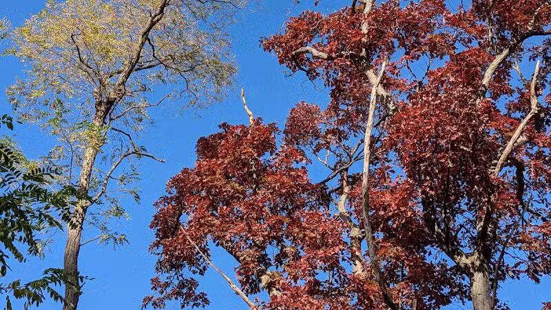 Paint Creek Trailways Commission - Rochester,