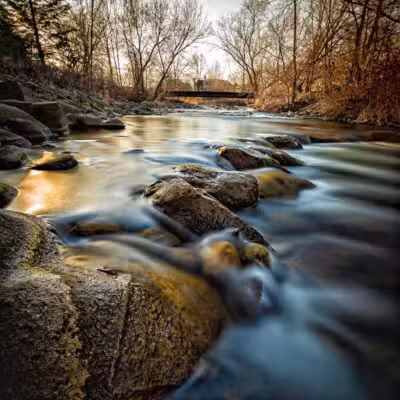 Rochester Municipal Park - Rochester,