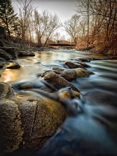 Rochester Municipal Park - Rochester,