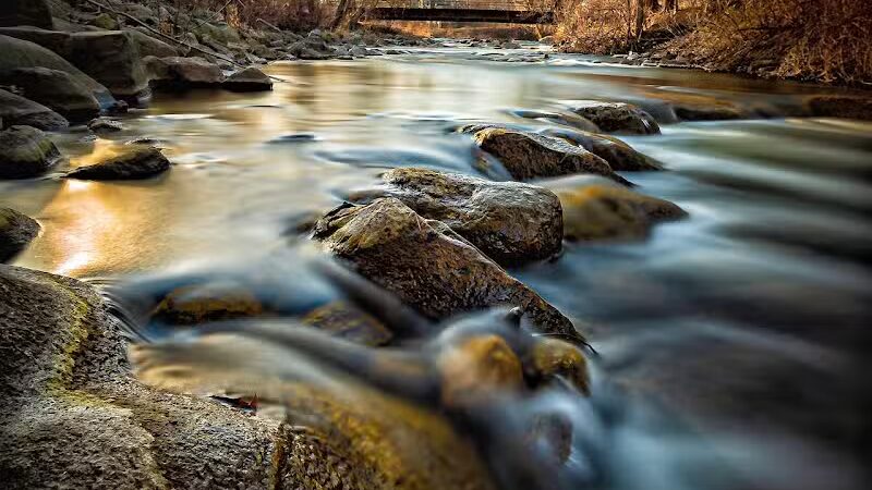 Rochester Municipal Park - Rochester,