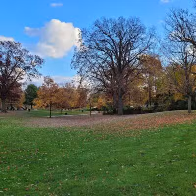Rochester Municipal Park - Rochester,