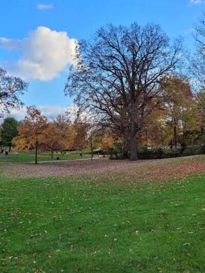 Rochester Municipal Park - Rochester,