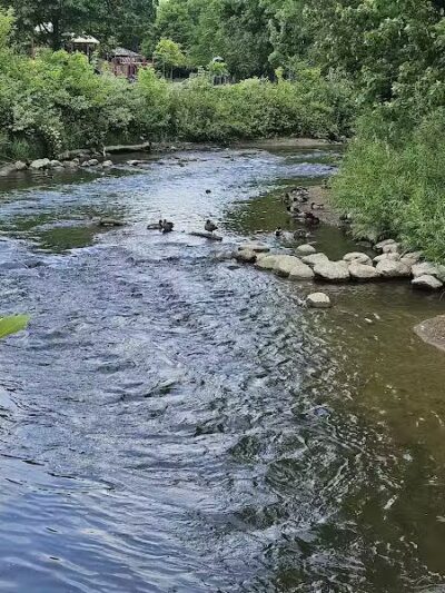 Rochester Municipal Park - Rochester,