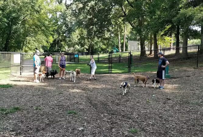 Spencer Park Dog Park - Rock Hill, SC