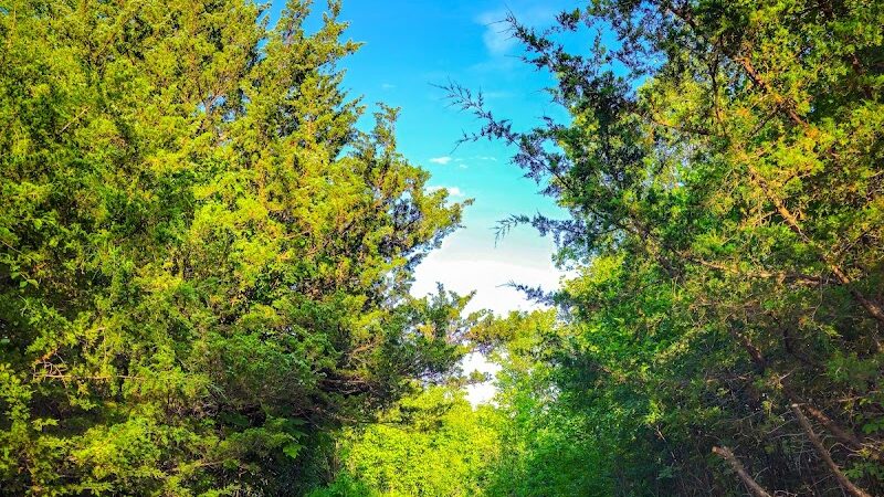 Lake Sarah Dog Park - Rockford, MN