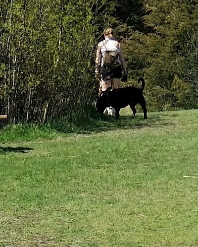 Lake Sarah Dog Park - Rockford, MN