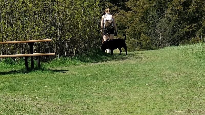 Lake Sarah Dog Park - Rockford, MN