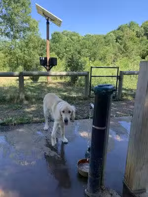 Lake Sarah Dog Park - Rockford, MN