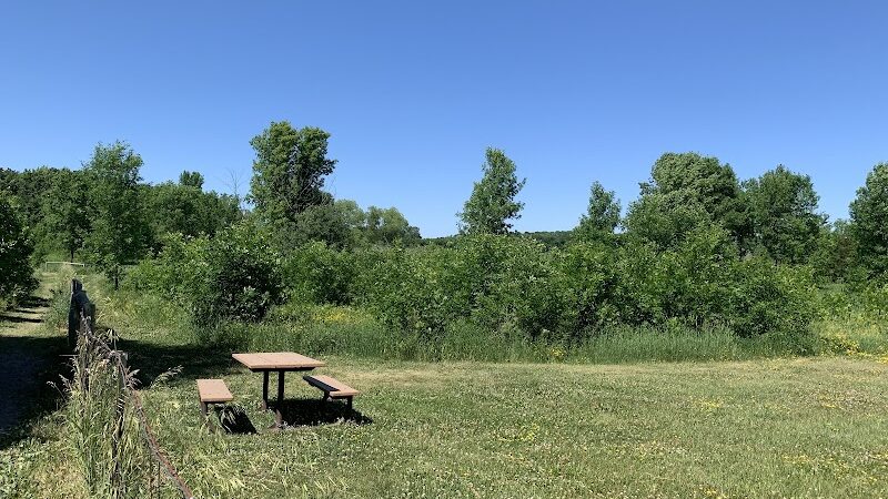 Lake Sarah Dog Park - Rockford, MN