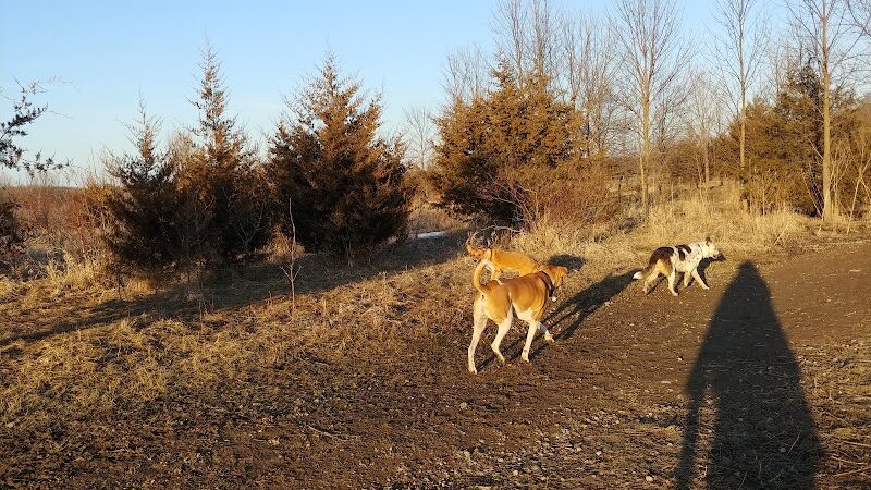 Lake Sarah Dog Park - Rockford, MN