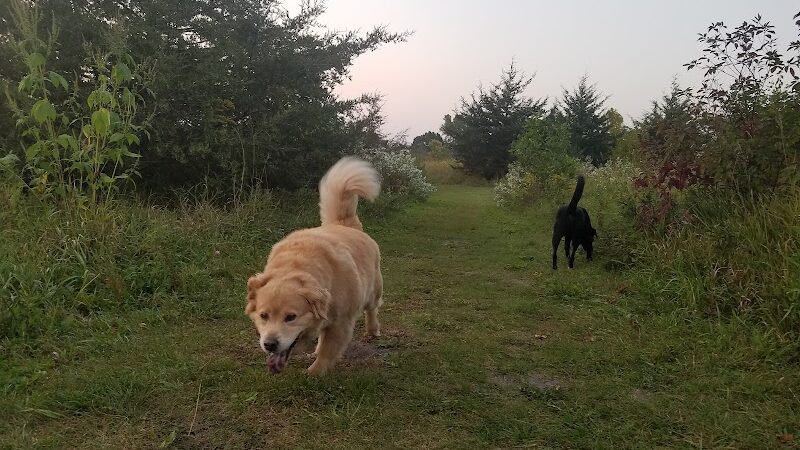 Lake Sarah Dog Park - Rockford, MN