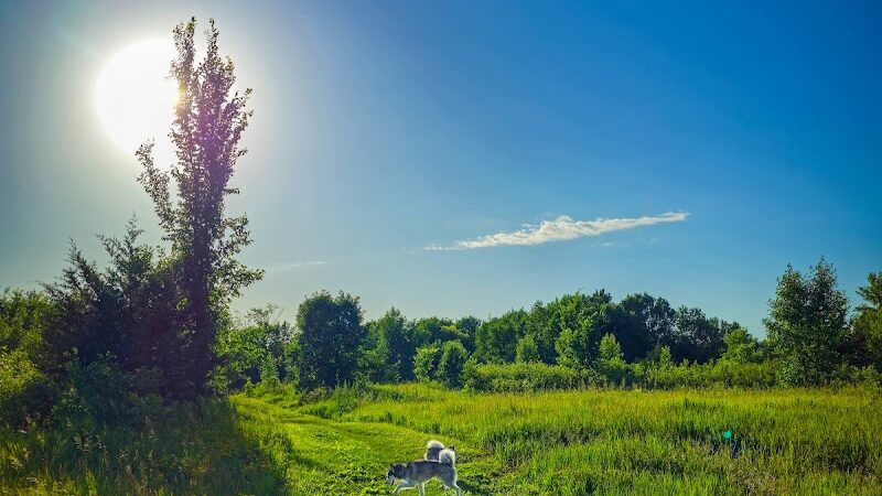 Lake Sarah Dog Park - Rockford, MN