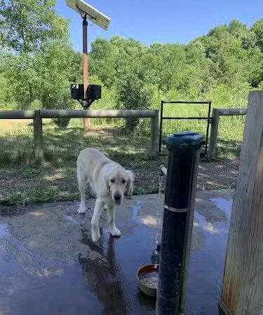 Lake Sarah Dog Park - Rockford, MN