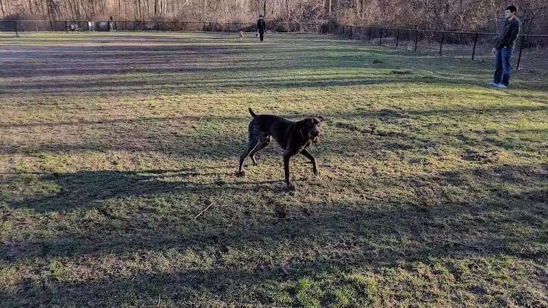 Rockford Dog Park - Rockford, MI