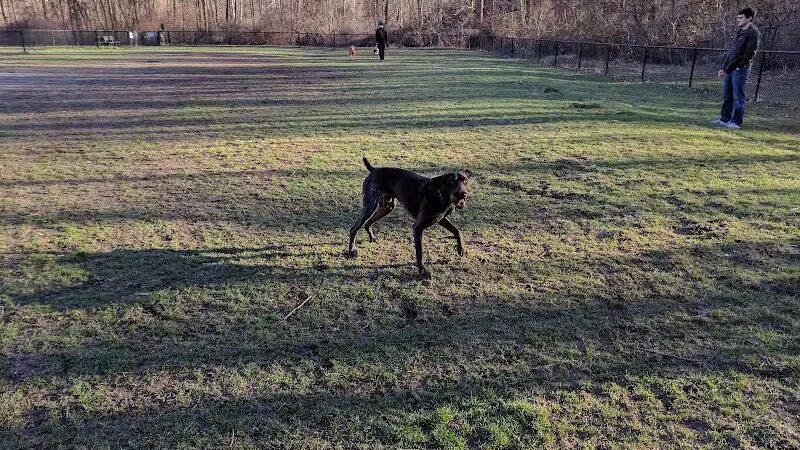 Rockford Dog Park - Rockford, MI
