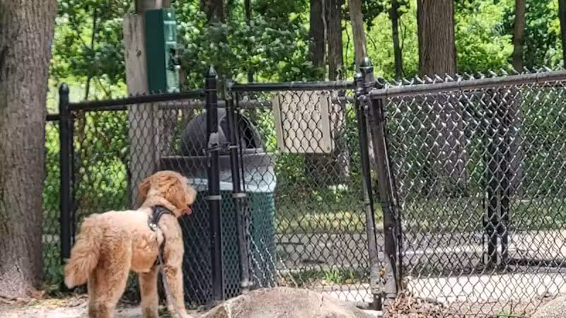 Rockford Dog Park - Rockford, MI