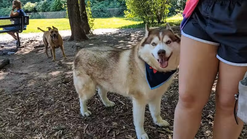 Rockford Dog Park - Rockford, MI