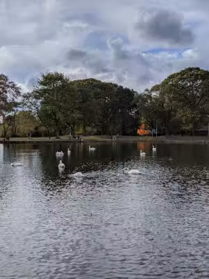 McDonald Pond - Rockville Centre, NY