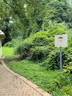 Tanglewood Preserve - Rockville Centre, NY