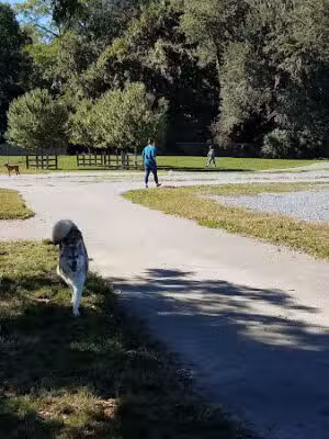 Mattie Stepanek Dog Park - Rockville, MD