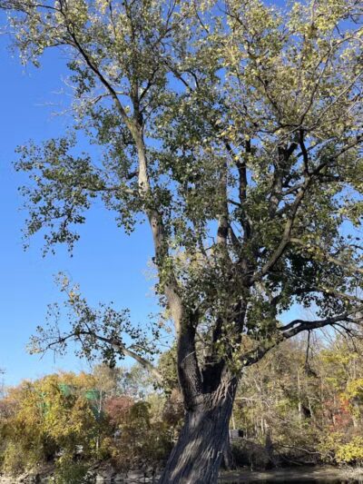 Labo Park - Rockwood,